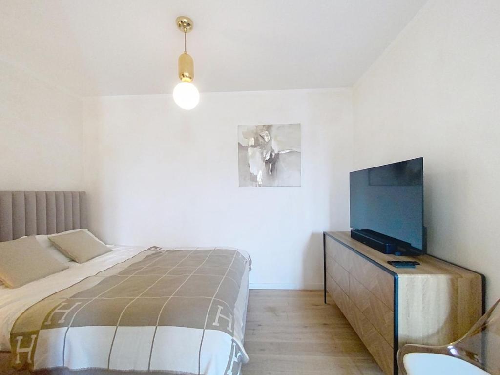 Elegant Apartment in Central Cannes - 3