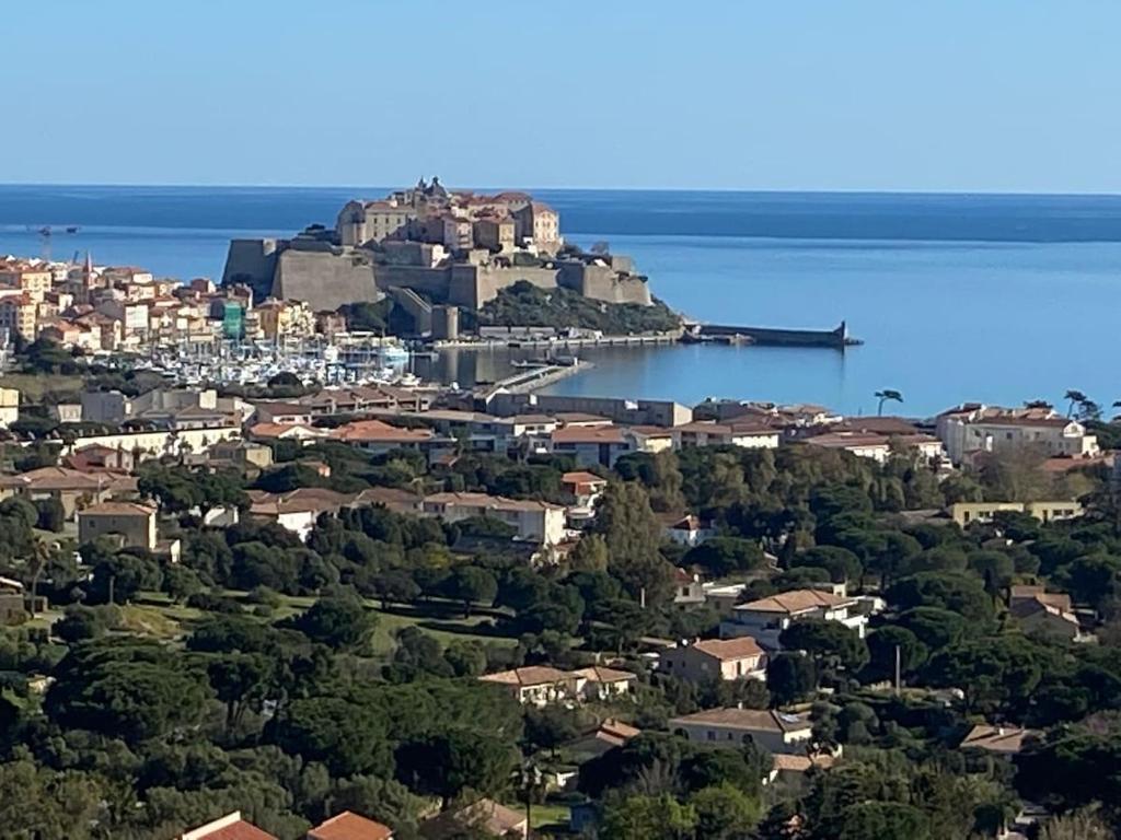 Studio centre Calvi - 4