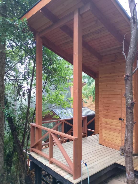 Inmersión total en el bosque de la Reserva Biológica de Huilo Huilo - 5