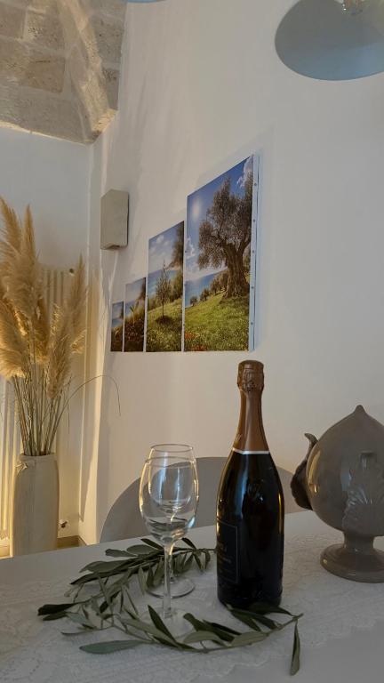 Samy Suite - 2