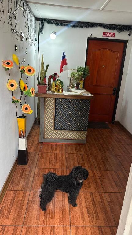 Residencial Las Palmeras - 2