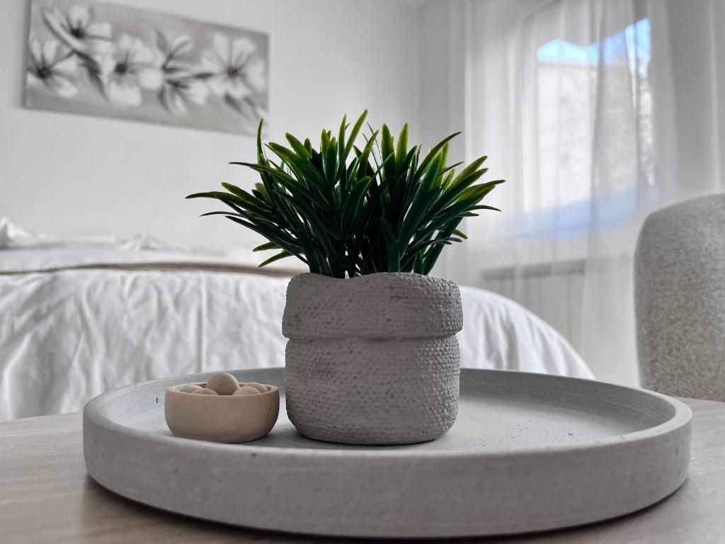 Primavera Apartment - 3