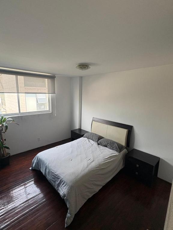 Stay in Trendy Roma Norte - 2