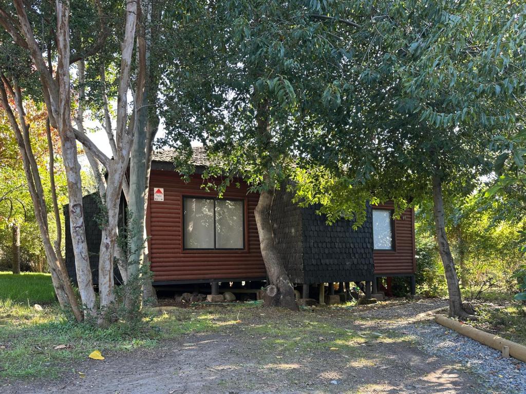 Cabaña Pingueral - 1