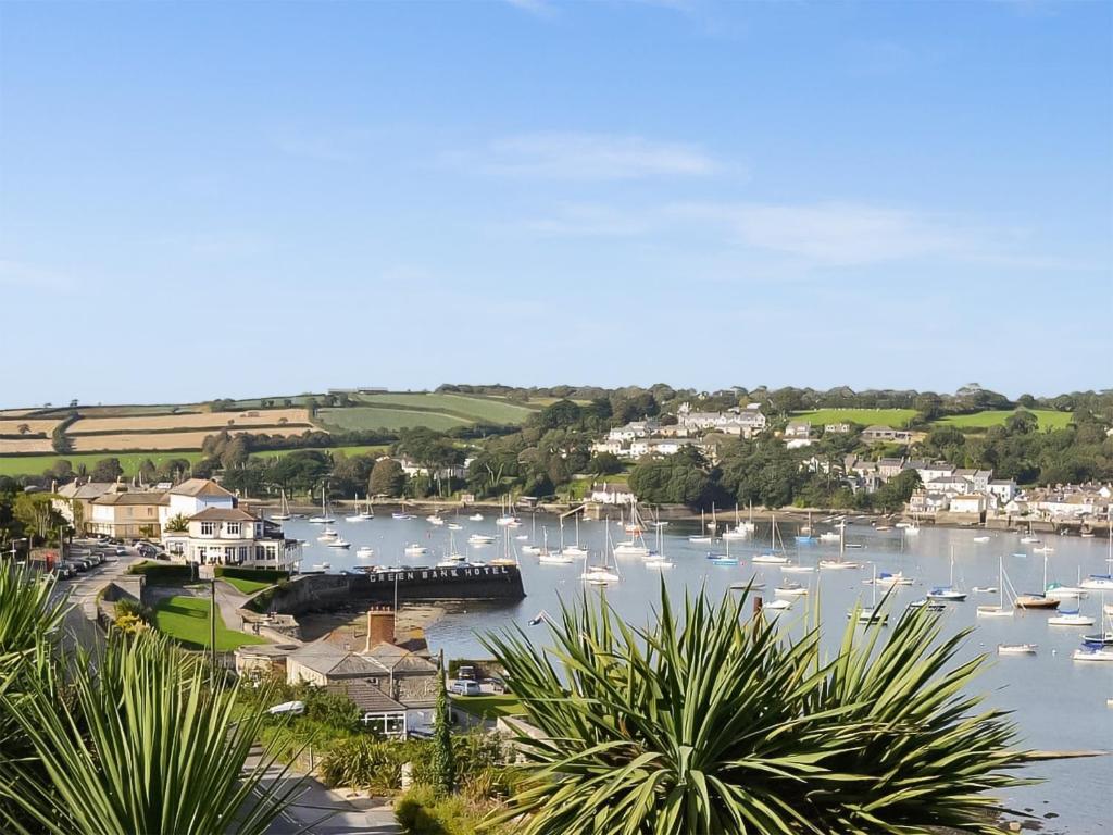 Oak, Falmouth photo 6