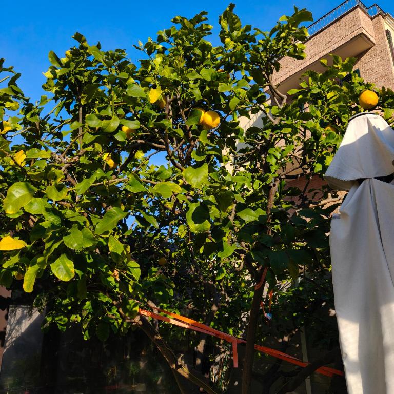 B&B Villa Lilla spiaggia inclusa e bici gratuite a San Benedetto del Tronto Camere con terrazzo e Colazione inclusa - 3