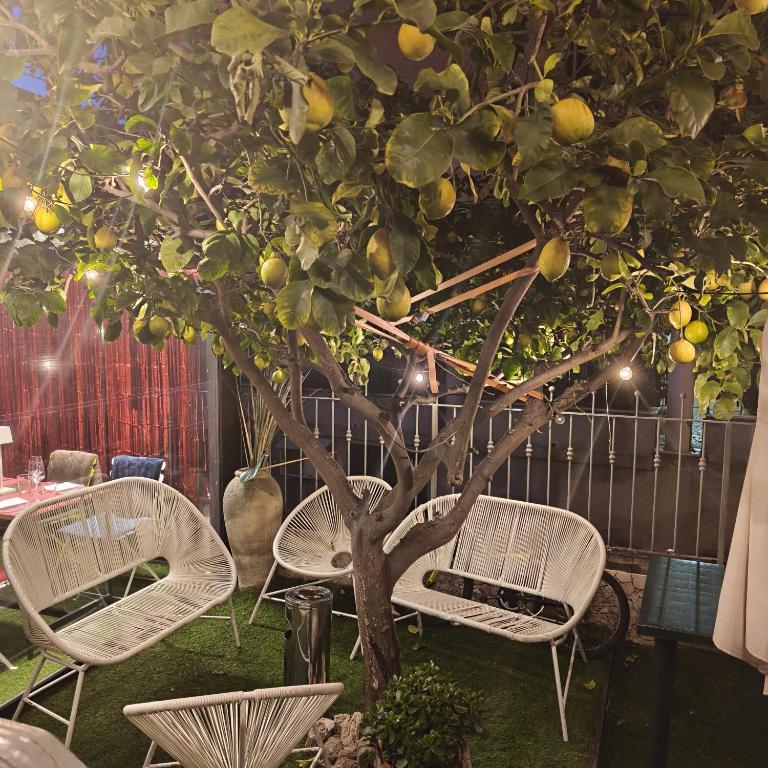 B&B Villa Lilla spiaggia inclusa e bici gratuite a San Benedetto del Tronto Camere con terrazzo e Colazione inclusa - 2