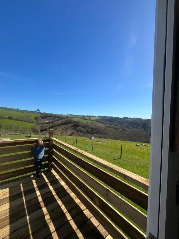 Dora's 5 Berth Static, Looe - pet-friendly farm stay