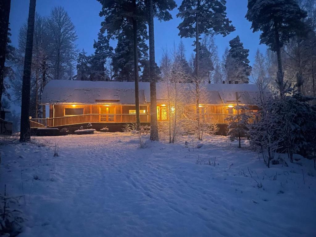 Pinewood Guesthouse 4