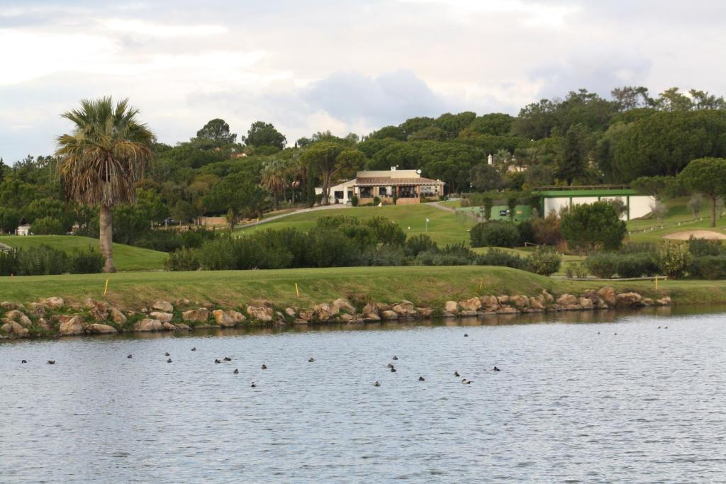 Golf course [on-site]