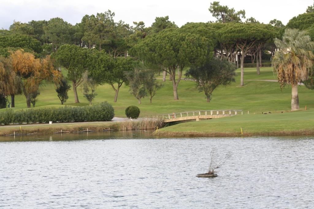 Golf course [on-site]