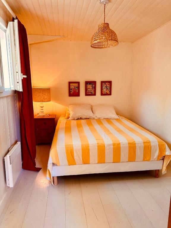 Biscarosse lac, maison cosy a deux pas du lac - 3