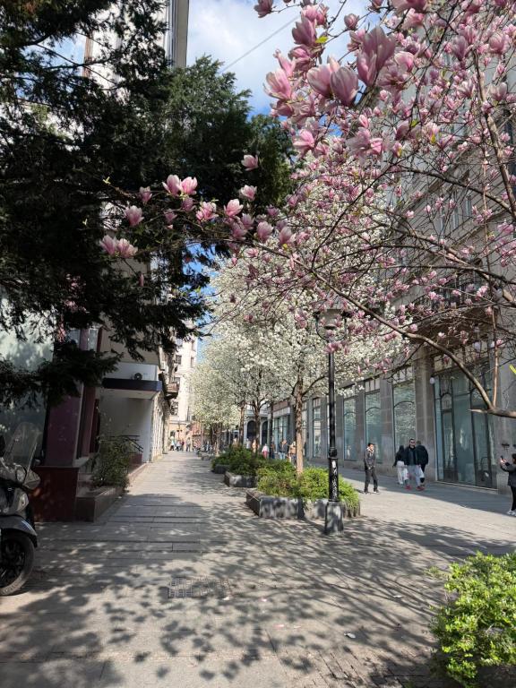Lella Apartment - Pedestrian zone & Charming balcony - 3