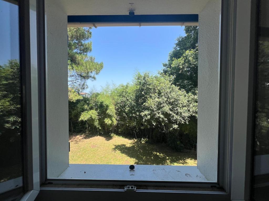 T2 calme, lumineux, entre océan et forêt - 5