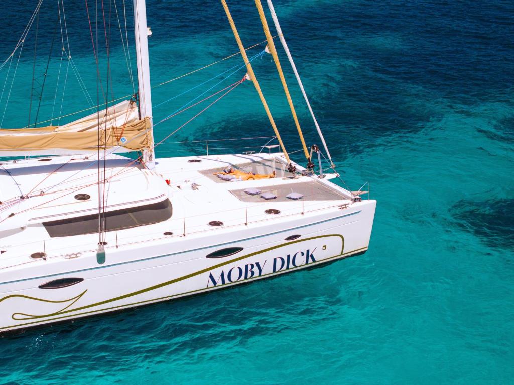 Catamaran Mobydick - 1