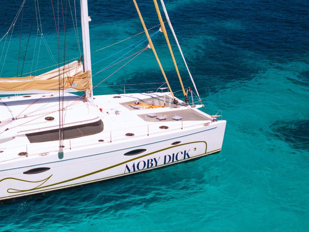 Catamaran Mobydick - 4