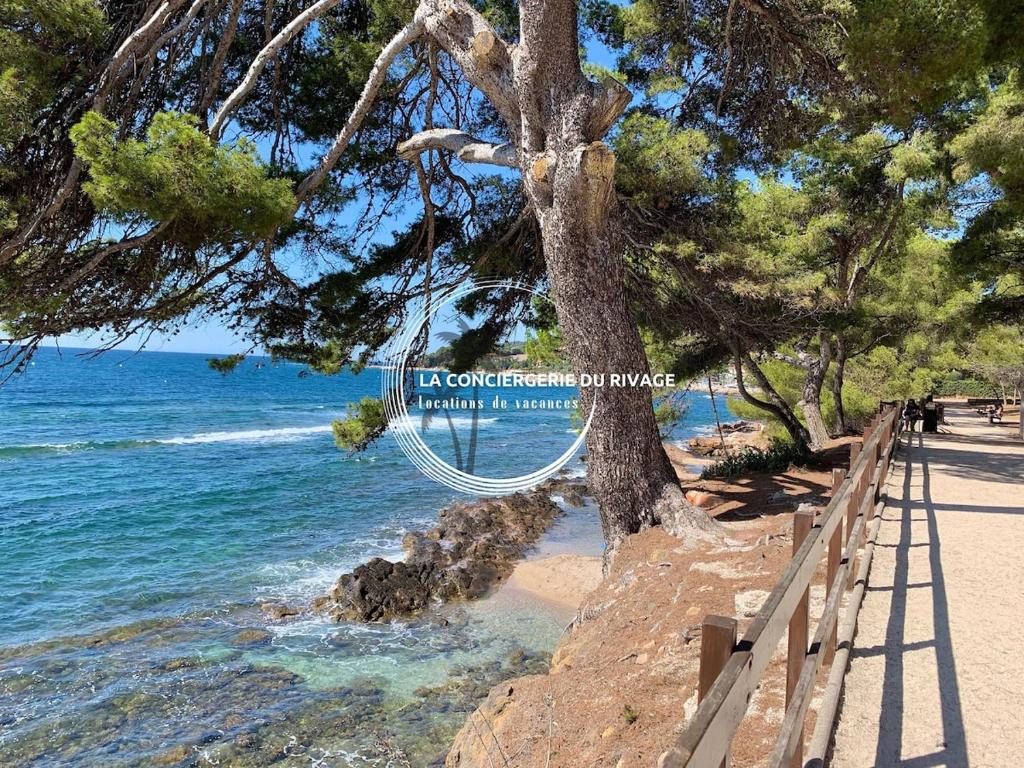 L'Azuréa - Piscine - Près des plages et du Port - 3