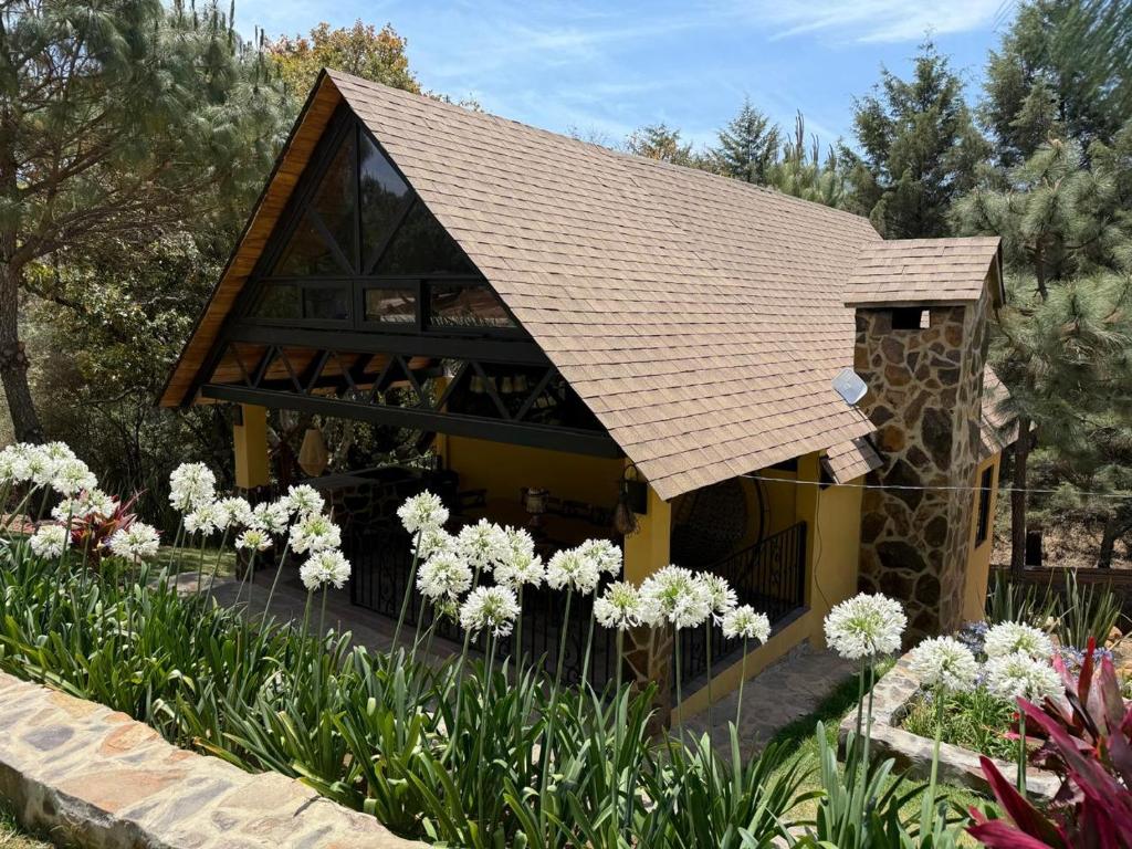 Chalet 8 Cabañas Puerta del Bosque - 1