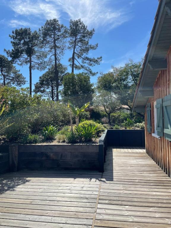 Maison de vacances à Petit Piquey, entre Bassin et Océan - 4