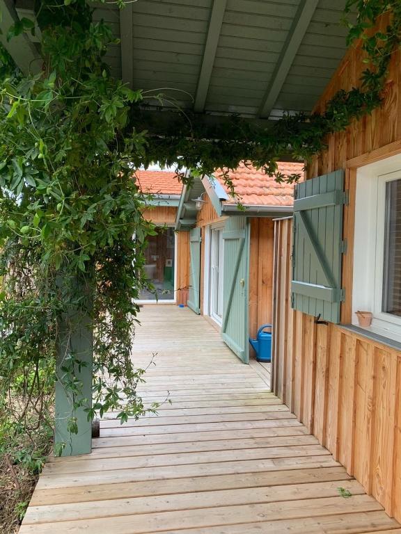 Maison de vacances à Petit Piquey, entre Bassin et Océan - 3