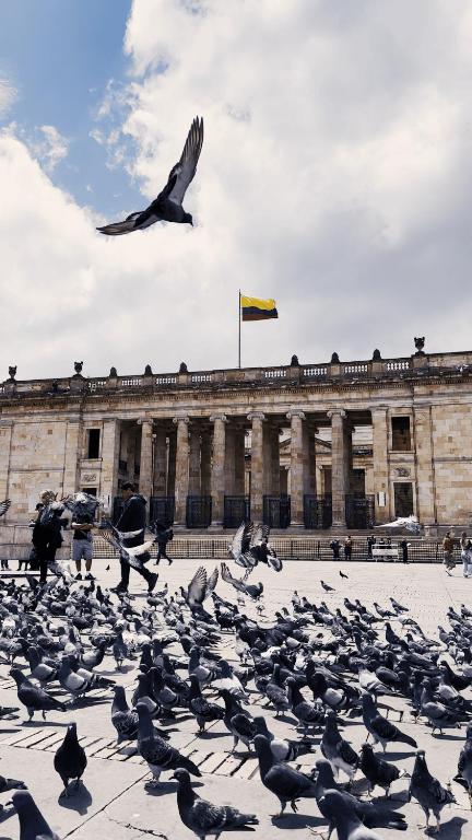 Delgadillo Hotel by Socialtel - 2