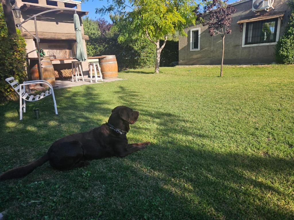 El descanso, zona de bodegas - 3