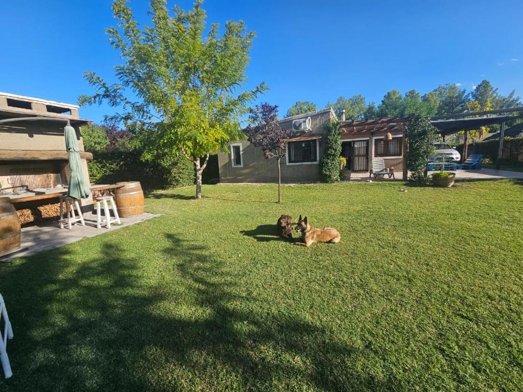 El descanso, zona de bodegas - 2