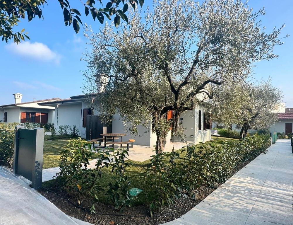 Bungalow Ville d'Oro - 5