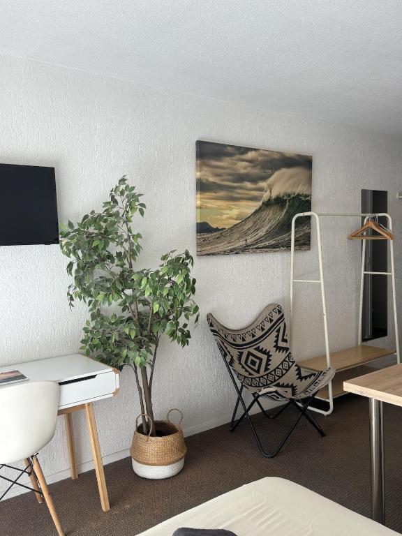 Arley- Large beach, city center, swimming pool- - 5
