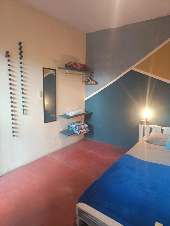 Hostal 23 cooperativa - 2