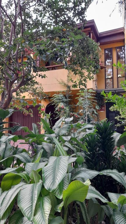 Laureles Estadio Studio Apartment to 8 people - 5