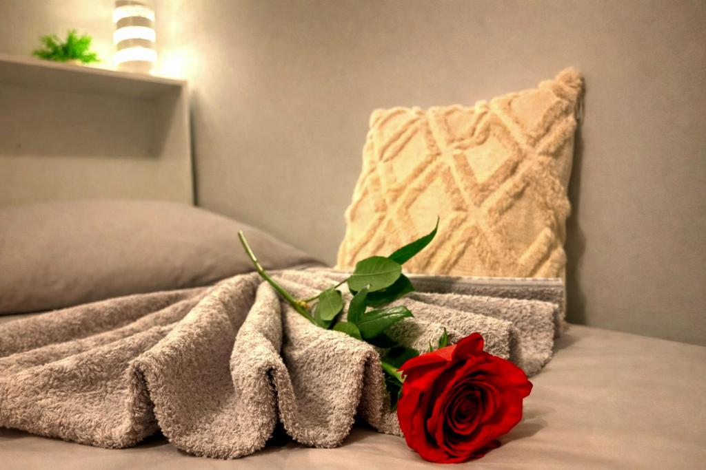 Bohemian Chic City Apartment - Munich Central Station - 5