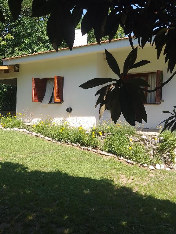Otto's Haus - 5