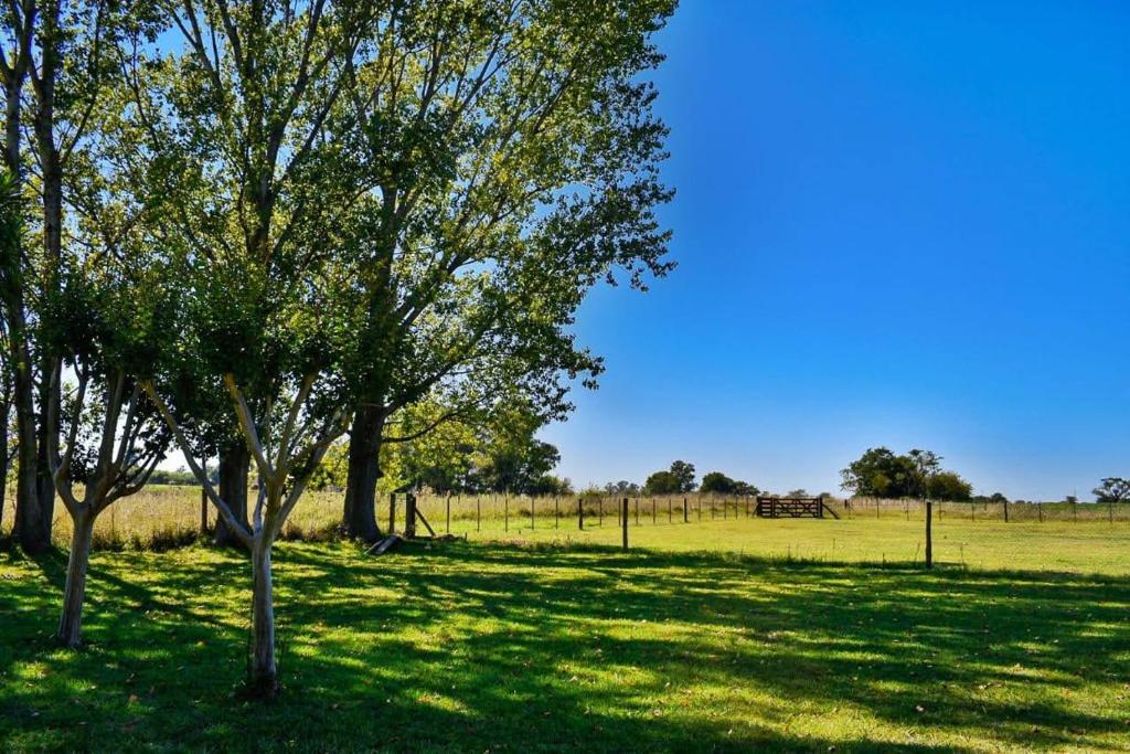 Quinta lo de Lolo - 4