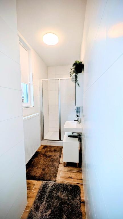 Apartment Trauninsel - 4