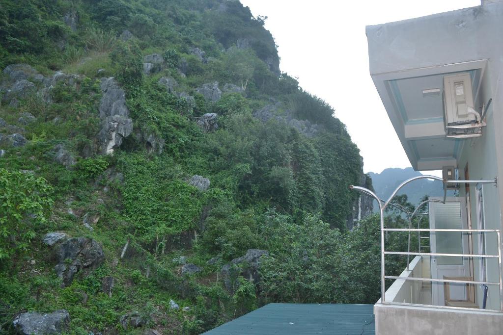 Phong Nha Homestay