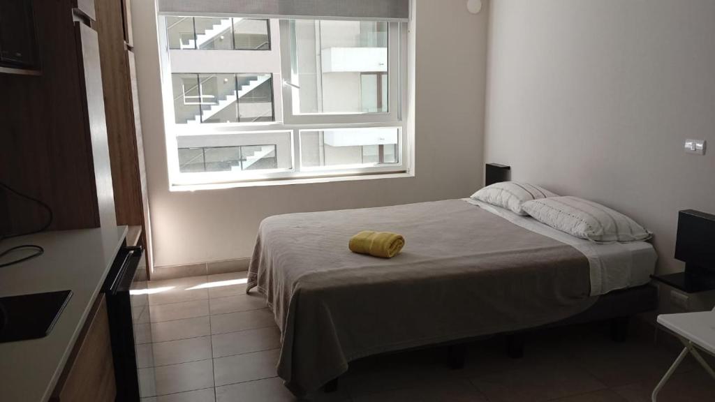 Departamento Estudio, Centro de Temuco - 5