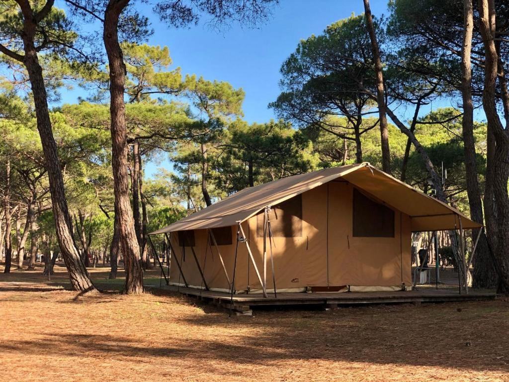 Camping la Tamarissière - 2
