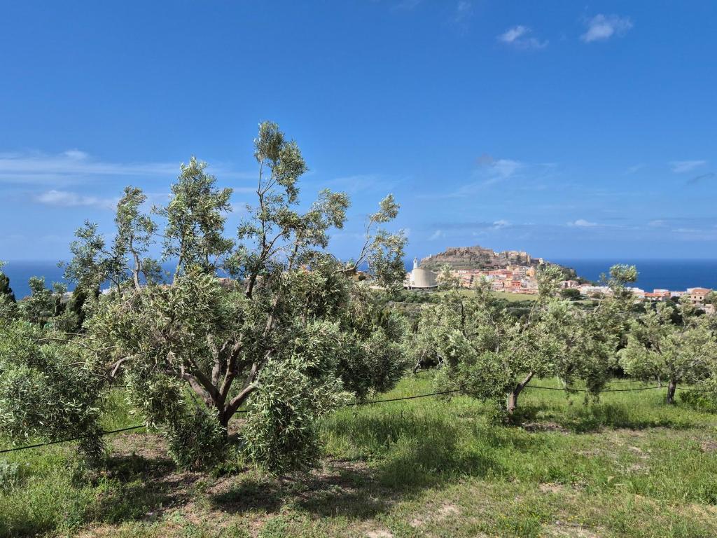 Villetta Olivia Casa in collina vista mare - 3