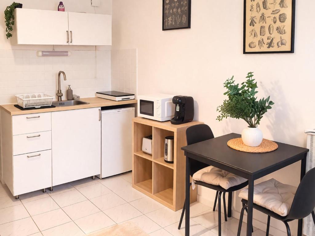Le Petit Léon Studio Clermont - 4