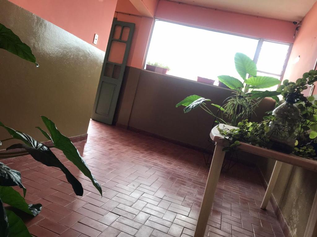 Hostal el Alba - 2