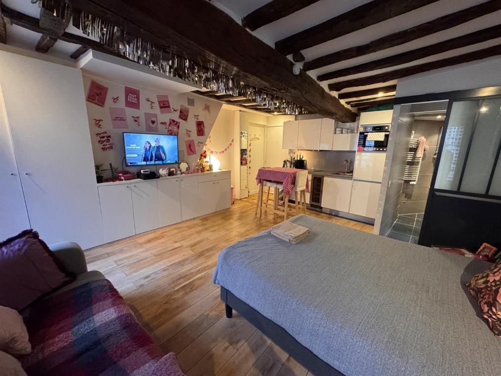 1 Cozy Studio in Historic 3rd Arr Near Metro - 5