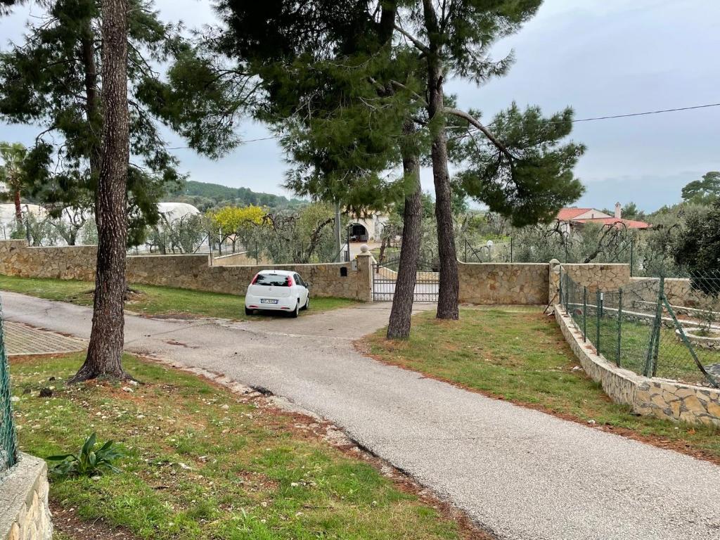 Tenuta Solleone - 4