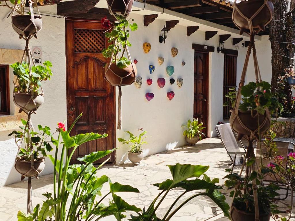 Arte Sano Hotel San Cristobal - 4