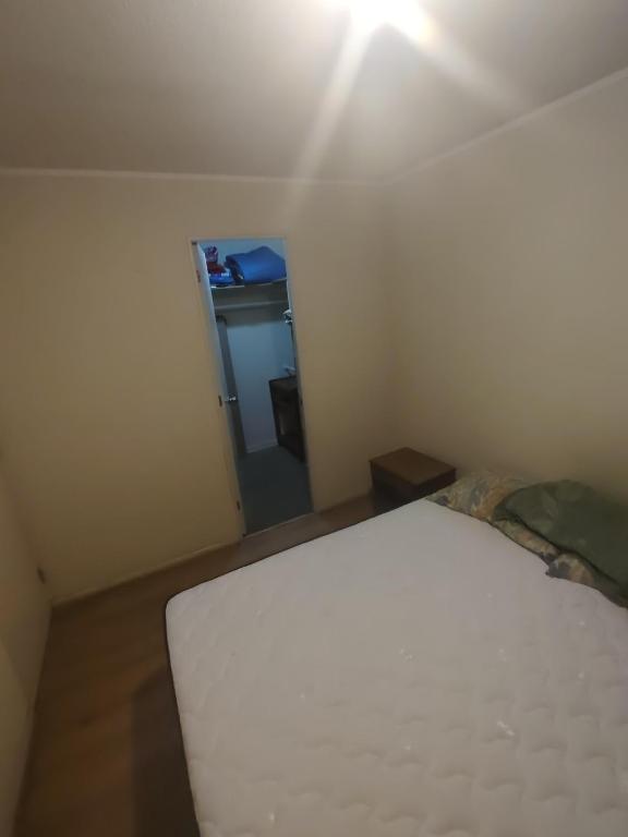 Departamento Maciver, parque forestal - 2