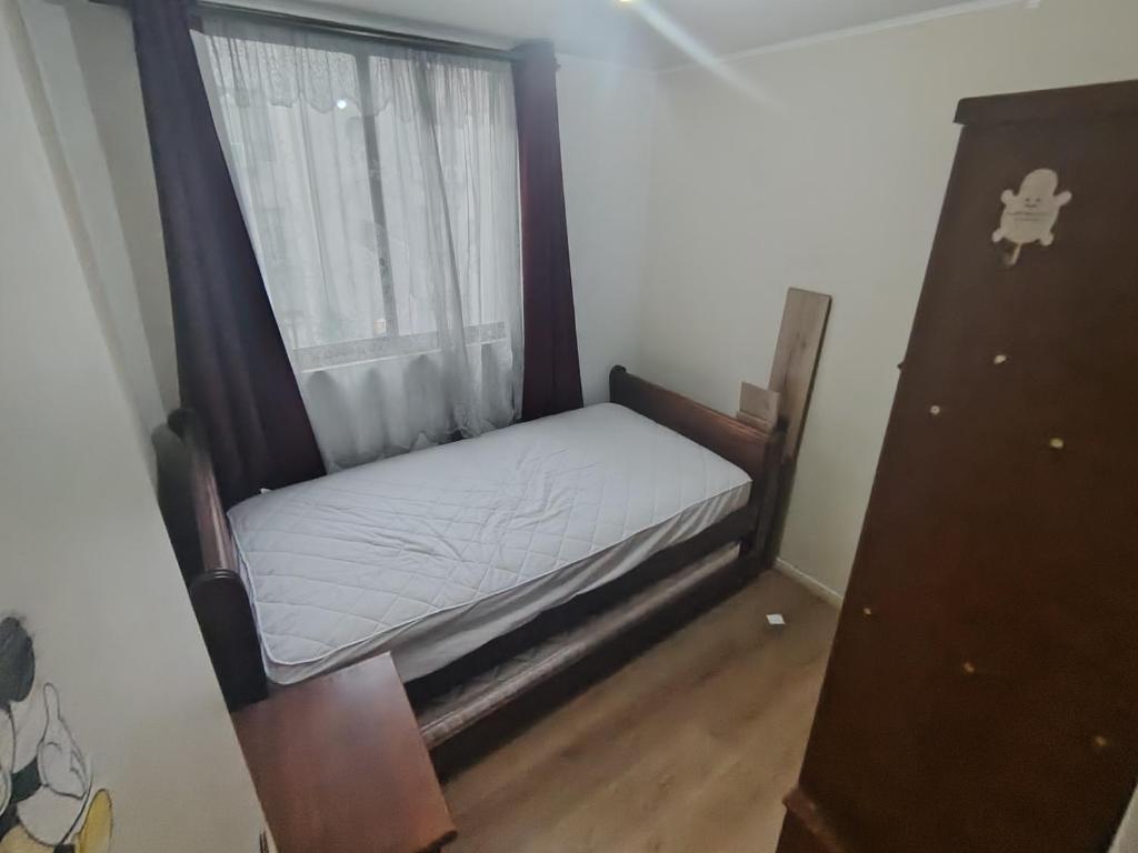 Departamento Maciver, parque forestal - 3