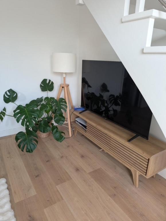Grand Duplex lumineux aux Minimes - 2