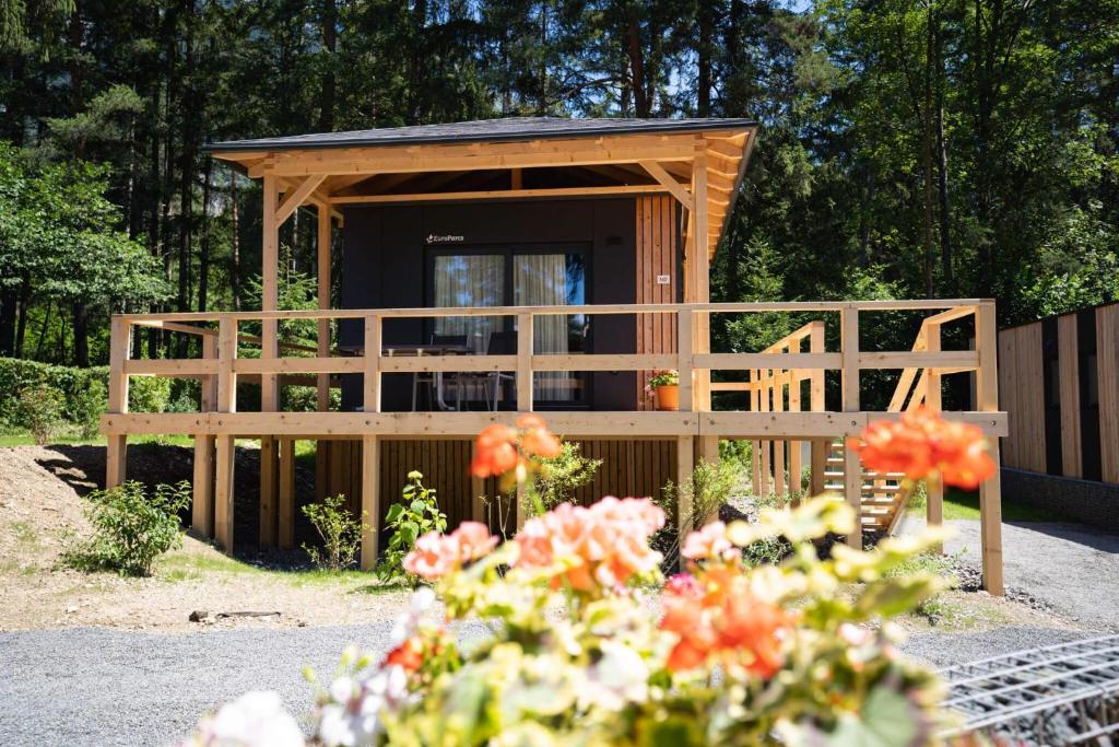 EuroParcs Ossiacher See - 1