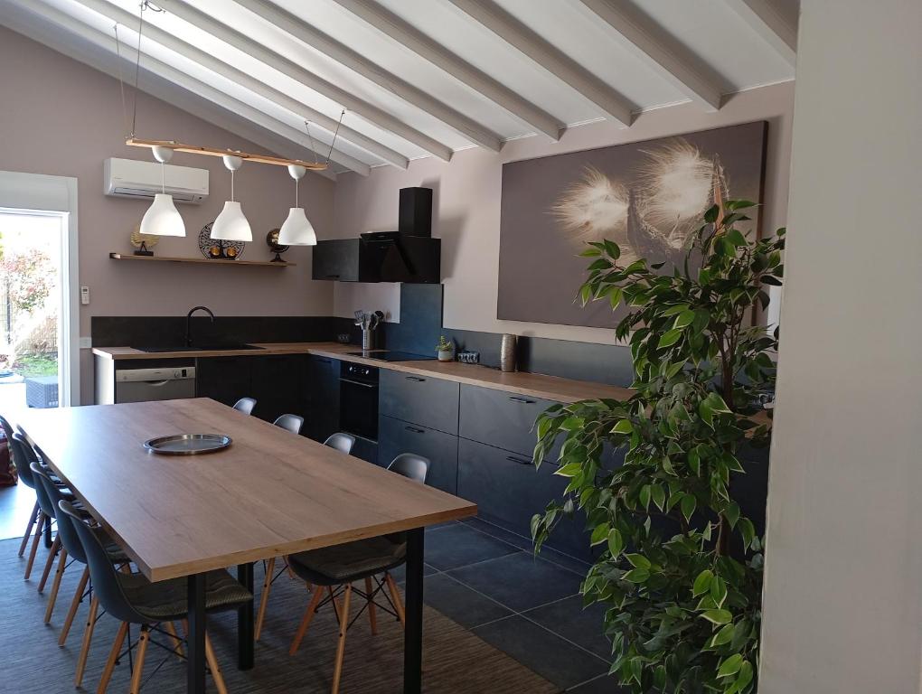 maison lacanau - 5