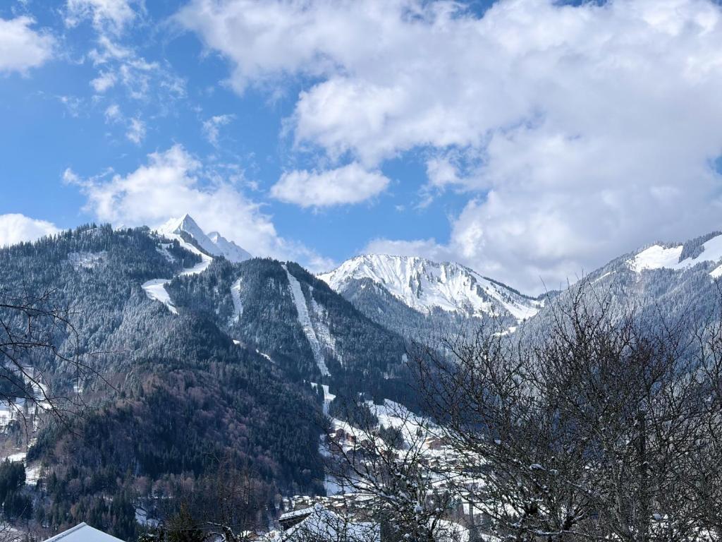 Chalet Josapiar - 2